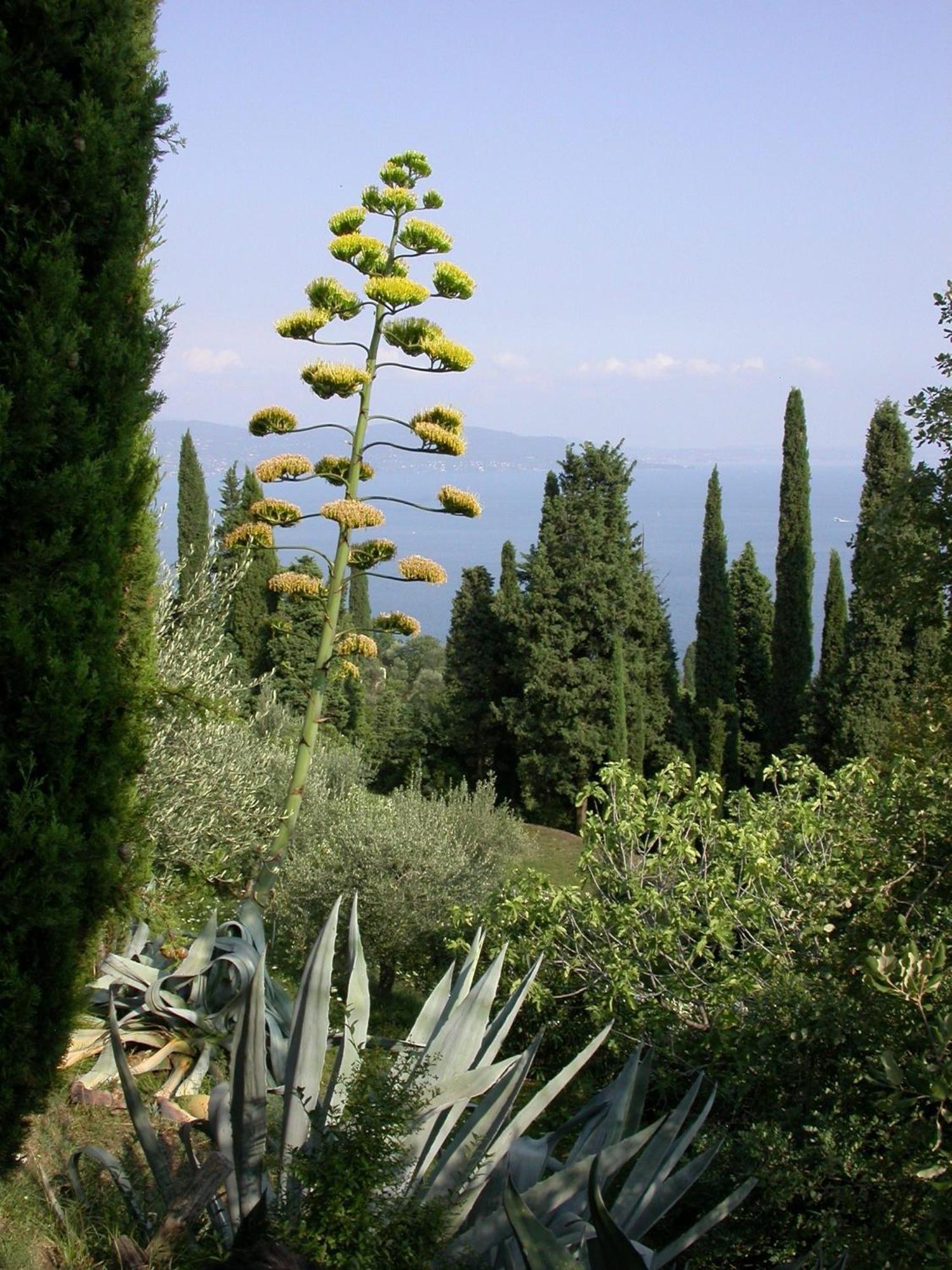 Dimora Bolsone Villa Gardone Riviera Buitenkant foto