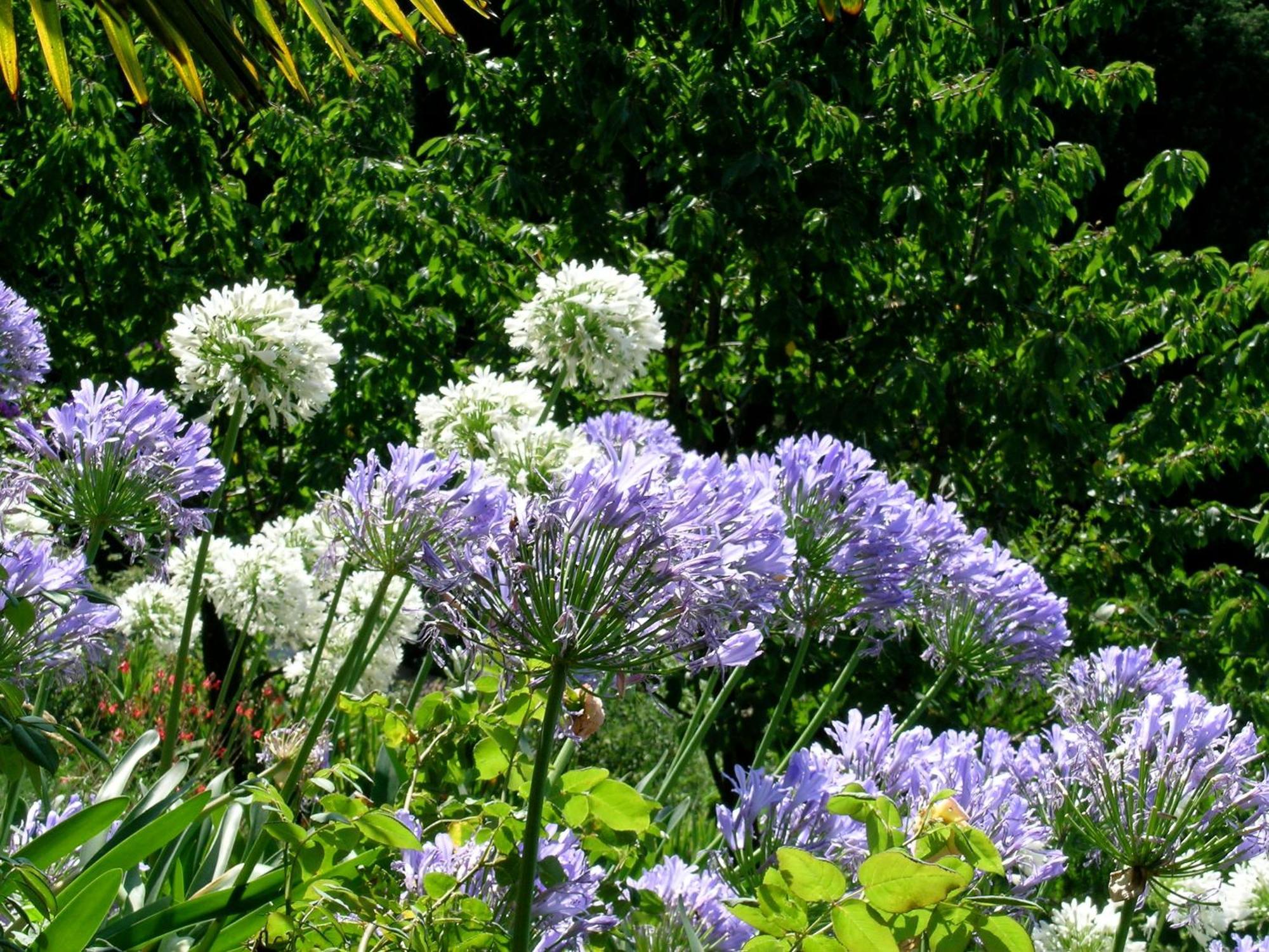 Dimora Bolsone Villa Gardone Riviera Buitenkant foto