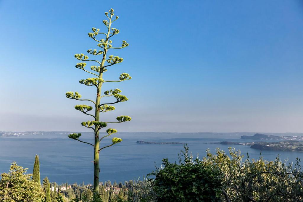 Dimora Bolsone Villa Gardone Riviera Buitenkant foto